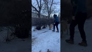 Основна Маса Людей Пройде Мимо. Від Нас Людей Вони Зараз Дуже Залежать.