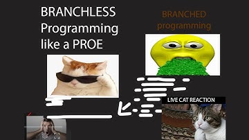 What is Branchless Programming? How to do it like a proe!