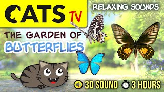 GAME FOR CATS  The Butterflies Garden  Relaxing Sounds  [CATS TV] 3 HOURS