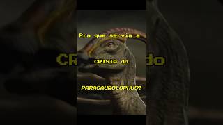 Qual a Função da CRISTA do PARASSAUROLOFO? #pergunteaobiohistoriologia