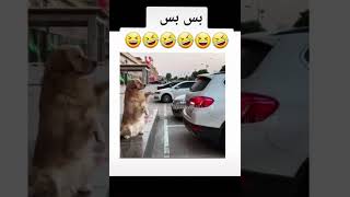 فيديو تيك توك