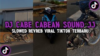 Dj CABE CABEAN SOUND JJ TIKTOK VIRAL ( SLOWED & REVERD )🎧 YANG KALIAN CARI !!