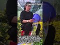 손대면 톡! 1초 만에 완성되는 꽃 포장 기술 #worker #process #amazing #skill #technique