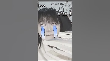 App nhất định phải có khi bắt đầu học tiếng Trung