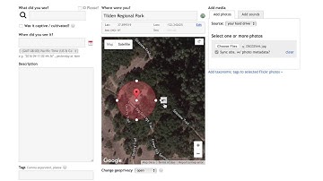 Tutorial - Add an Observation on iNaturalist