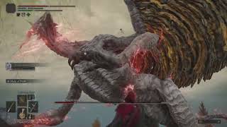 Xprt and Katie Play Elden Ring Part 7!