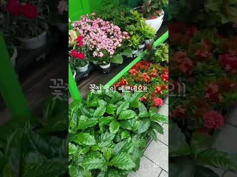 이미 지났지만.. 브이로그👏👏 #떡상떡상떡상떡상떡상떡상떡상떡상떡상 #떡상기원 