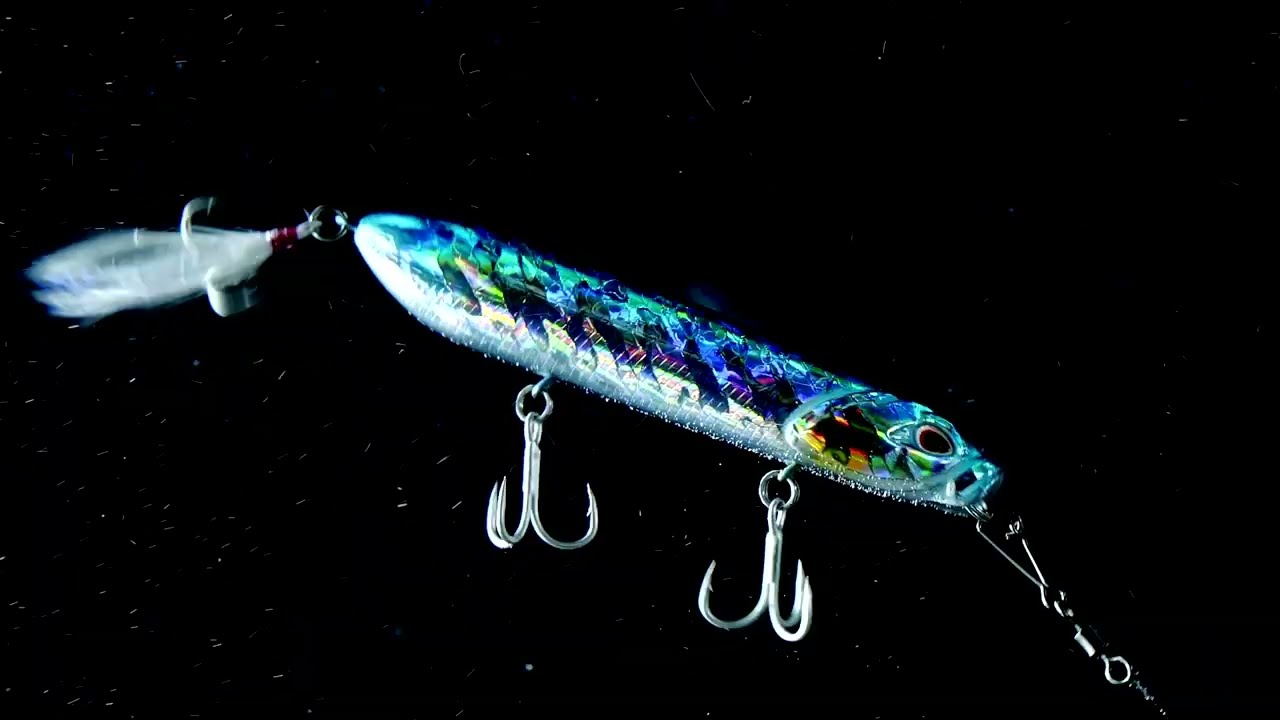 Reel In The Thrill | WSB Tackle