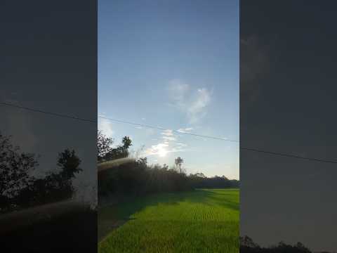 গ্রামের পাকৃতিক পরিবেশ 🥰🥰🥰🥰 #nature #18january  Aberdeen Group plc 1.10%Advanced Medical
