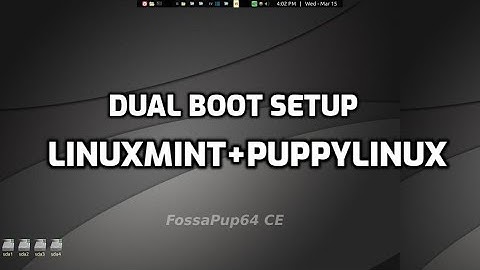 dual boot using LinuxMint (LMDE) + F96-CE4, puppylinux
