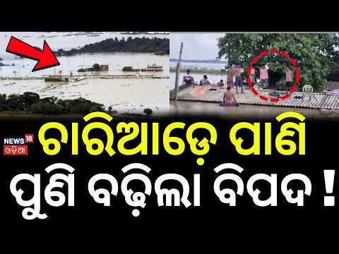 ଚାରିଆଡ଼େ ପାଣି ପୁଣି ବଢ଼ିଲା ବିପଦ ! Odisha Flood Crisis | Thousands Stranded Across North Odisha