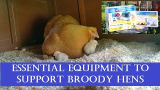Essential Support Equipment for Breeding with Broody Hens (Brinsea Candler, Incubator & Brooder)