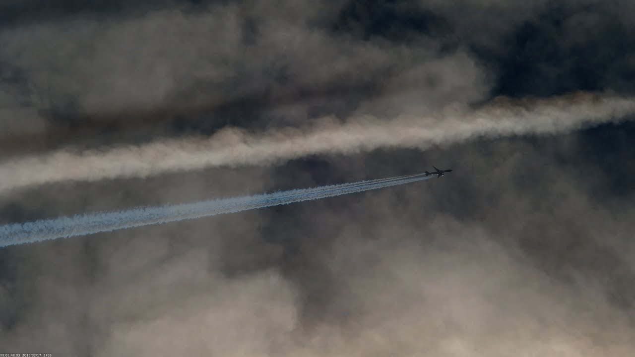 DHVANI - "Janua" (Remnantic Skies 02/2019 shadows)