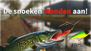 De Snoeken Stonden Aan