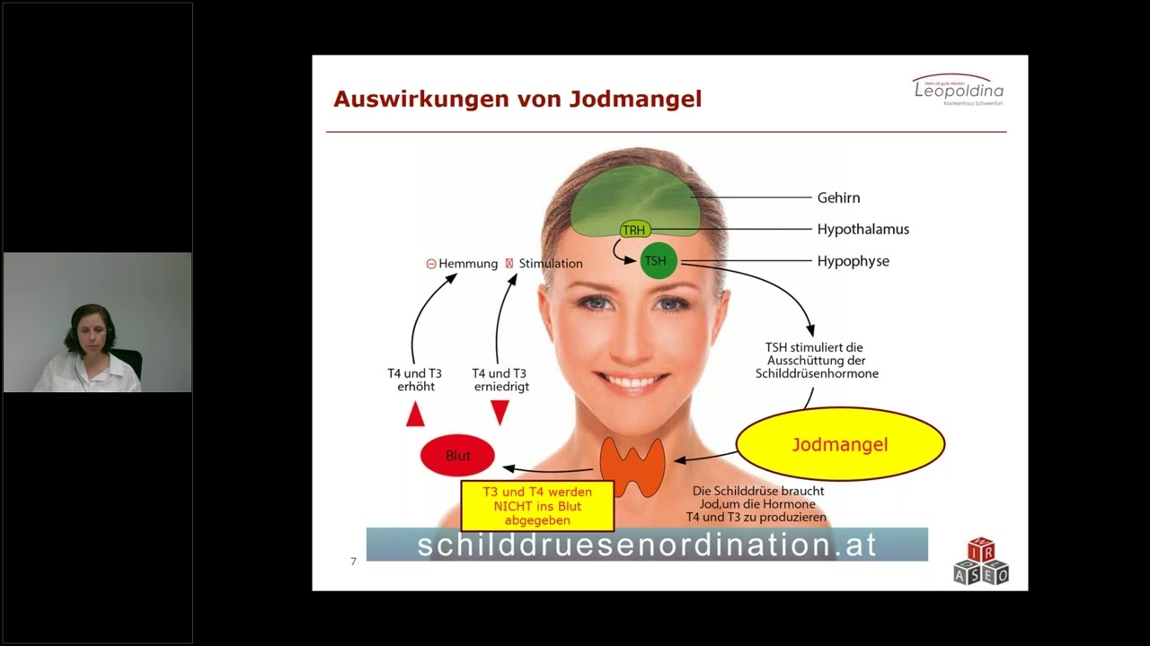 Die Operation der Schilddrüse und Nebenschilddrüse