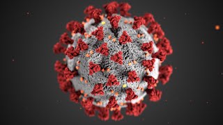COVID19 and Antimicrobial Resistance AMR