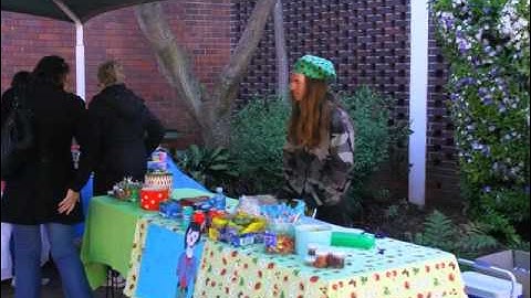 Opti-Learn Carnival 2012