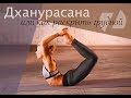 ДХАНУРАСАНА. КАК РАСКРЫТЬ ГРУДНОЙ ОТДЕЛ