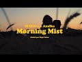 Dj elite  morning mist feat anaka clip officiel