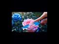 Relaxing Rose Cutting ASMR Part-8 |Cutting a Pink  Rose (8K Macro)| Satisfying |#rose#shorts