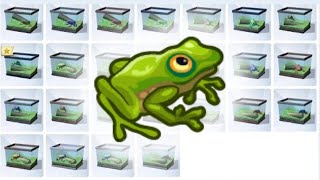 EASIEST Way to Collect ALL the FROGS in the Sims 4