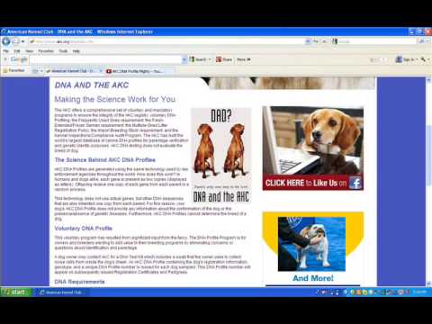 Gentic testing, akc, american kennel club, dna testing - YouTube