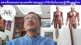 MP295: ตอนที่๓๘กองธาตุและตรีธาตุสมุฏฐานวินิจฉัยในเวชปฏิบัติประยุกต์สำหรับแพทย์แผนไทย