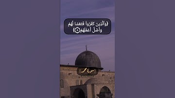 سورة محمد الآية ٧ الى ١١ بصوت الشيخ محمد صديق المنشاوي