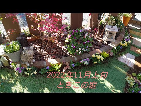 自閉症園芸セラピーを家庭で始める5つのコツ