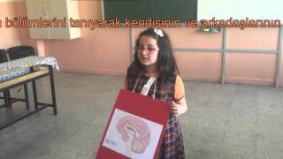 Hem Oynuyorum Hem Öğreni̇yorum Nedi̇r Beni̇m Organlarim İsa Yusuf Alpteki̇n 2 C Sinif