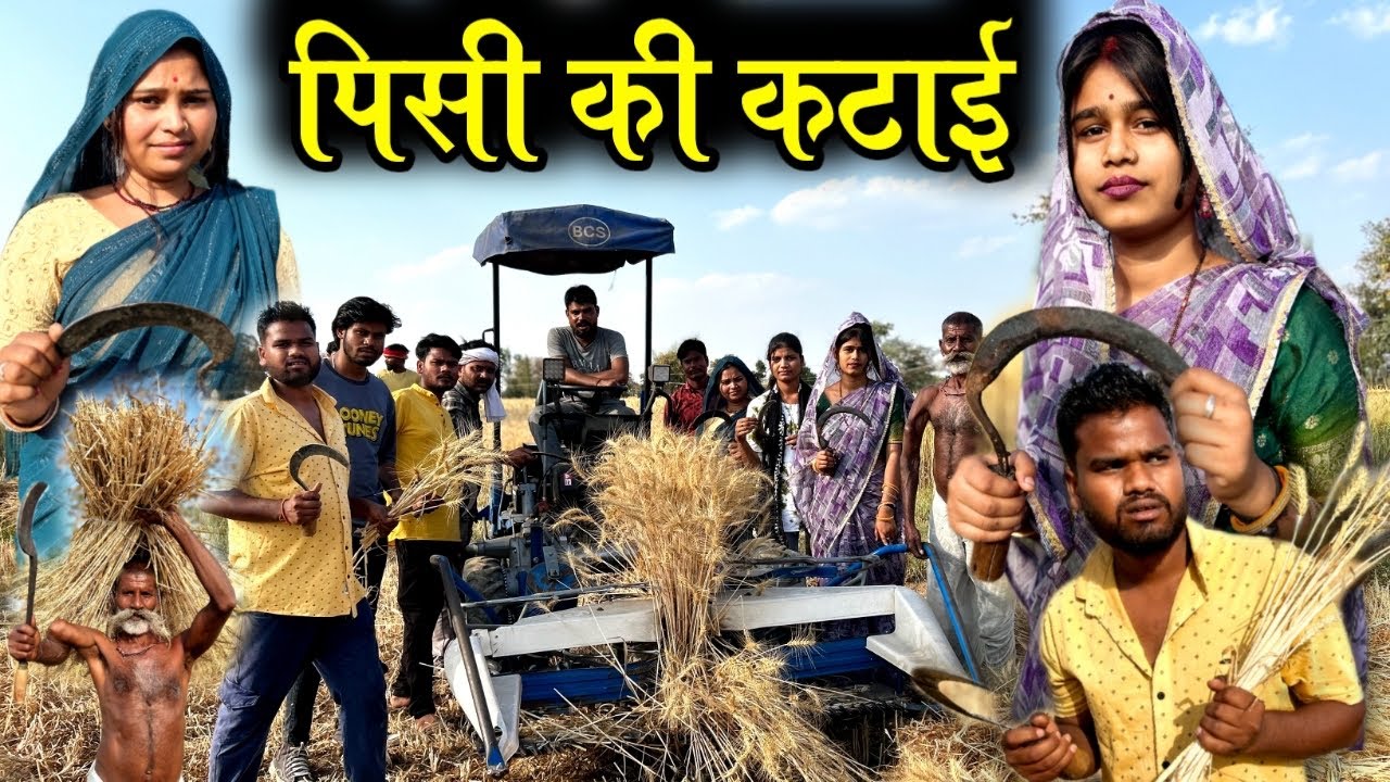 गेहूँ की कटाई- बुंदेली कॉमेडी | Pisi Ki Katai - Bundeli Comedy | Kakku Ki Comedy |