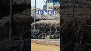 제주도 돌집