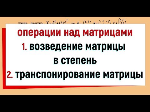 Video: Upravitelj rizika: nova profesija koja obećava