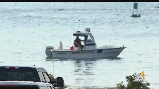 Deadly Shark Attack In Maine Is First In Recorded History