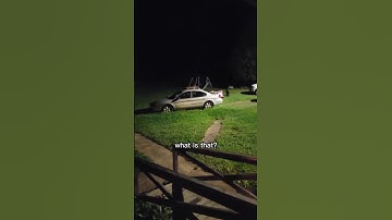 A Late Night Visitor From The Woods...Footage by Claxattax #scary #supernatural
