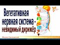 Вегетативная нервная система - невидимый дирижёр. Михаил Сватковский