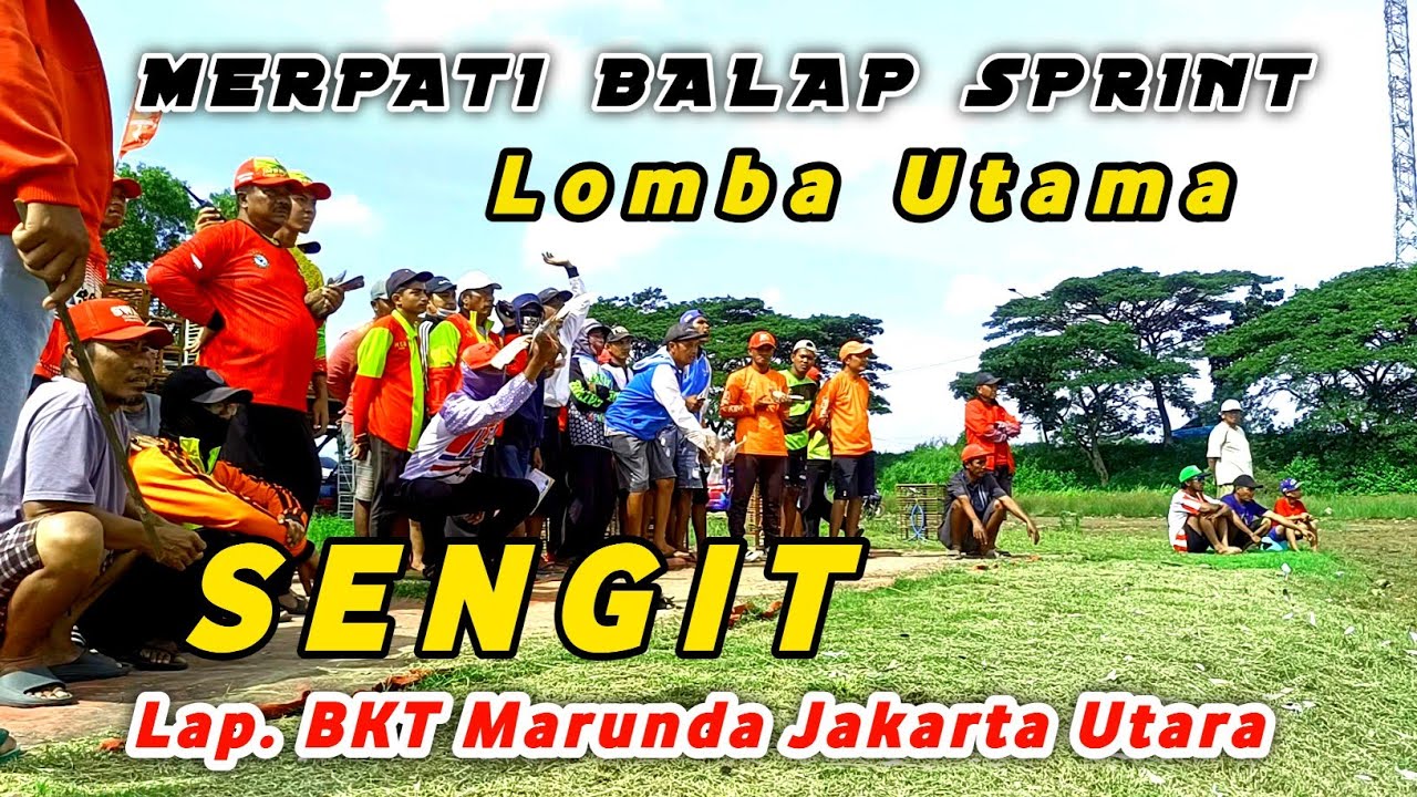 Lomba Utama MERPATI BALAP Lap. BKT MARUNDA JAKARTA - 23 Maret 2025