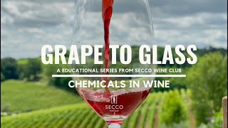 WINEMAKING WITH ZERO CHEMICAL ADDITIVES || SECCO WINE CLUB