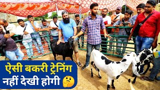 ऐसा बकरी पालन प्रशिक्षण नहीं देखा होगा|Goat Farming Practical Training Sr Goat Farm