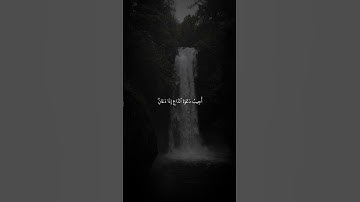 #سورة_البقرة #عبدالله_الموسى
