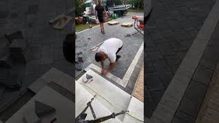Pathway Progress Timelapse