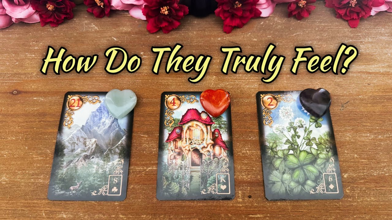 💕How Does He/She Truly Feel About me? | 🔮Pick A Card🔮 | Love Tarot Reading (Timeless)