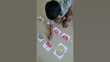 Count and match|Numbers|Ennum Ezhuthum|Maths