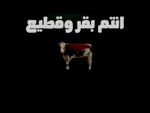 حسن شاكوش مهرجان جبل الحلال