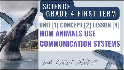 Grade 4 | Science | Unit 1 - Concept 2 - Lesson 4 - How Animals Use communication systems - Ants