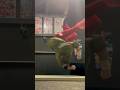 Combo#breaking #powermove #combo #action #adventure #powermovestyle #style #tricking #bboy
