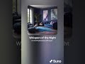 Whispers of the Night