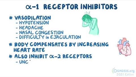 Thuốc kháng giao cảm: chẹn alpha