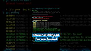 These 5 Git commands are the ones that save you when things go wrong.