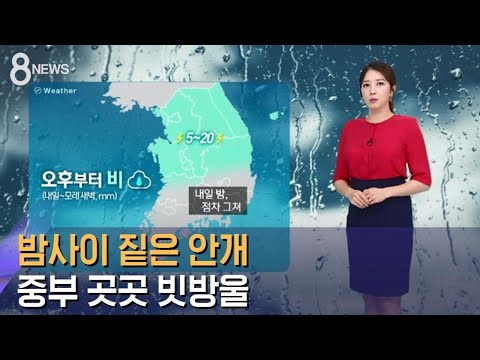 [날씨] 밤사이 짙은 안개…중부 곳곳 벼락 동반 빗방울 / SBS
